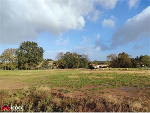 terrain à la vente -   85320  MAREUIL SUR LAY DISSAIS, surface 338 m2 vente terrain - UBI478242347